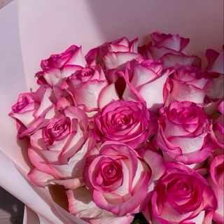 ვარდისფერი ვარდების თაიგული