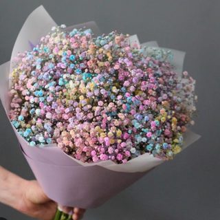 Bukiet kolorowej gipsówki L 