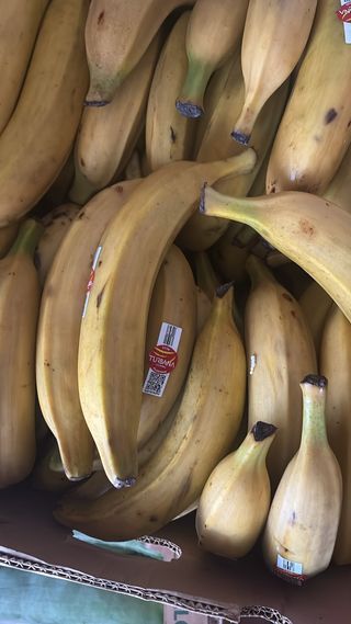 Platano maturo fresco, platano maduro  al kg