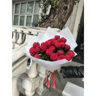 Red peony roses 