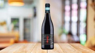 Pinot Nero Solonero