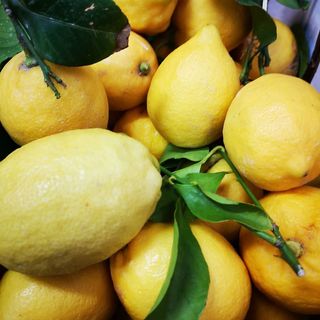 Limoni non trattati