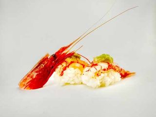 253 Nigiri gamberi rossi