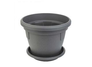 Саксия, сива, Ф20