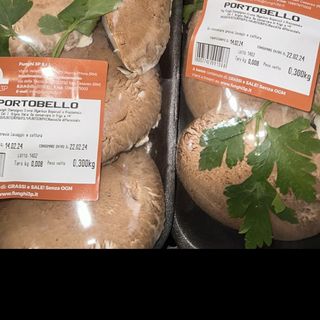 Funghi portobello 300g