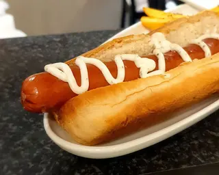 Dog