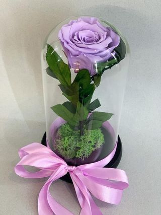 Crio Purple Rose