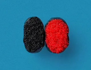 ტობიკო გუნკანი 1ც
