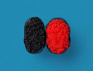 ტობიკო გუნკანი 1ც