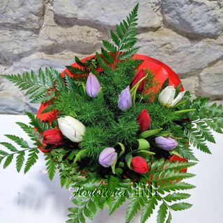 Ramo 10 Tulipanes Variados