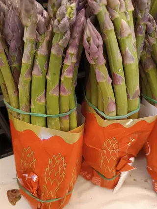 Asparagi