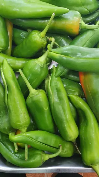 Pimientos Fritos