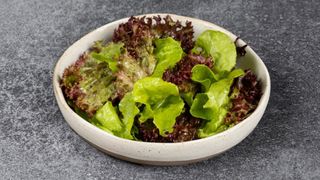 Salata iz naše bašte i miso dresing