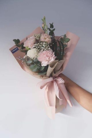 მიხაკი ევკალიპტი გიფსოფილა