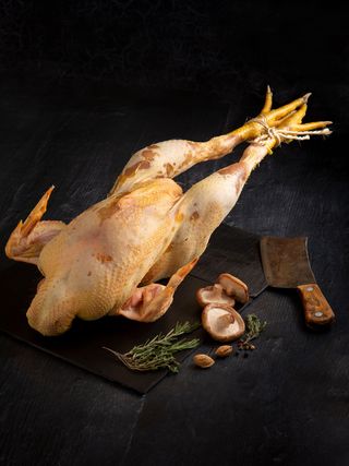 Pieza Pitu Caleya Pollo De Campo