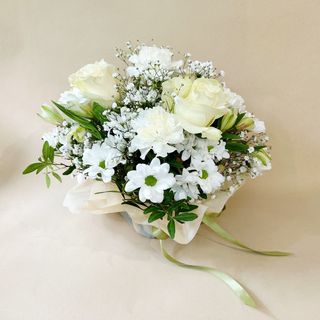 Centro Alma - Tonos Blancos y Verdes