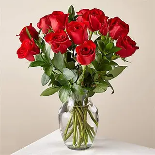 Docena Rosas Rojas