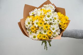 ფერადი გვირილები