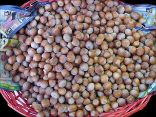 Nocciole in guscio 100 g