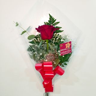 Rosa roja en celofán