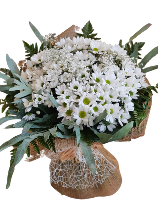 Ramo De Margaritas Blancas