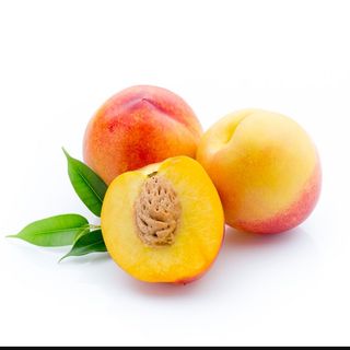 Pressec d aigua de prades 1 kg