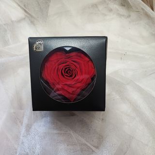 Trajna ruža srce 29