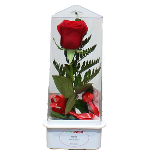 TRYROSA NATURAL 30001