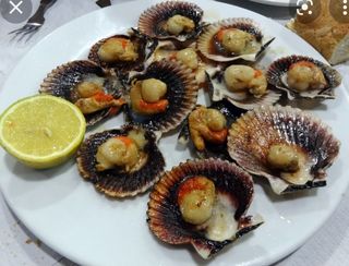 zamburiñas 12 unidades  con salsa " buenísimas"