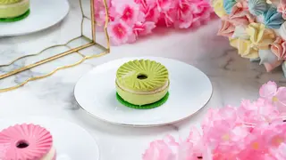 ფსტის ჩიზქეიქი