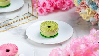 ფსტის ჩიზქეიქი