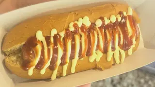 Perrito