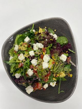 Avocado salata sa kozijim sirom