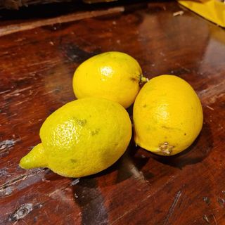 Limoni naturali 500gr