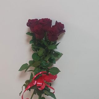 Червени рози еквадор с панделка (5бр)