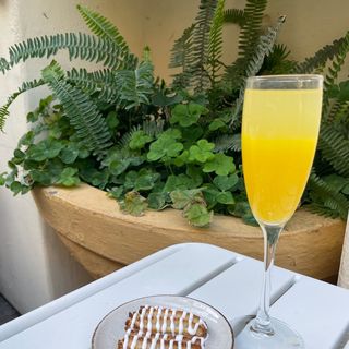 Mimosa