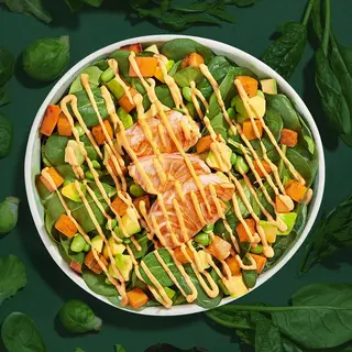 Exotic Salmon 