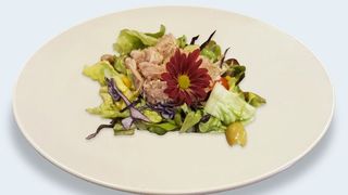 Salata sa tunjevinom