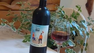 სუფთა ღვინო ქისი