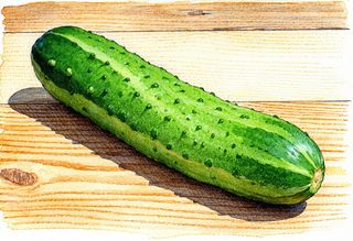 Краставица