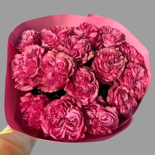 15 piwoniowych róż 