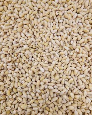 Gnocchis Al Huevo 200Gr