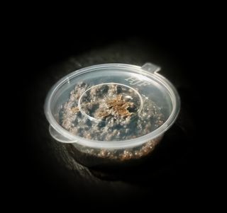 SALSA TARTUFATA 90ML