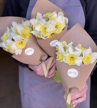 ნარცისი