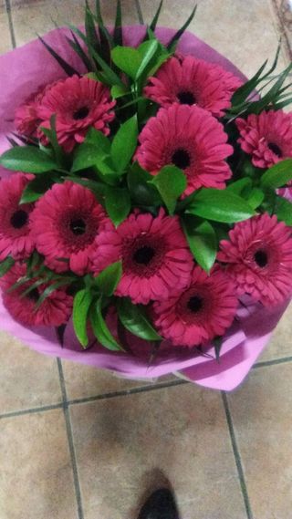 Ramo Gerberas Fucsias