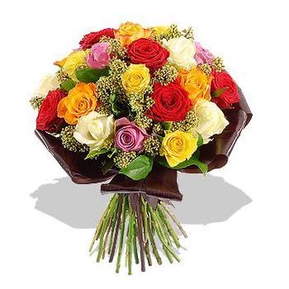 Multitud de rosas (12 uds)