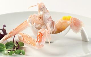 122-Sashimi scampi