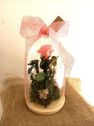 Cúpula Rosa Eterna Rosa 