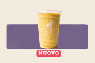 MANGO KIWI 35g protein (Works 500ml)