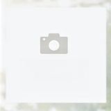 141. Пържено оризово фиде със зеленчуци, яйца и лук (500г)